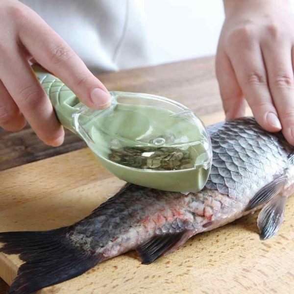 Fish scale remover – Elimina le squame di pesce