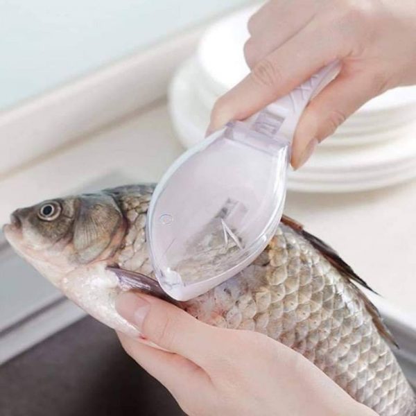 Fish scale remover – Elimina le squame di pesce 03