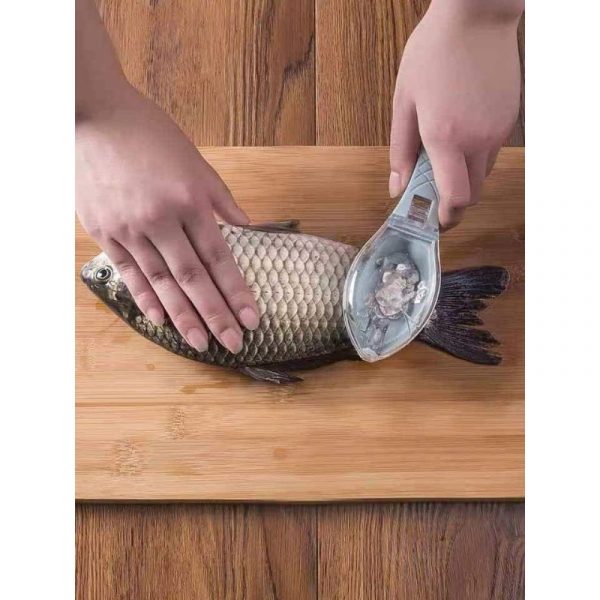 Fish scale remover – Elimina le squame di pesce 02