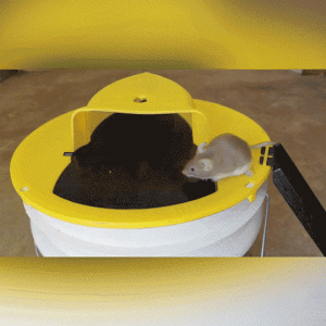 Mousetrap – Trappola per topi e ratti 03