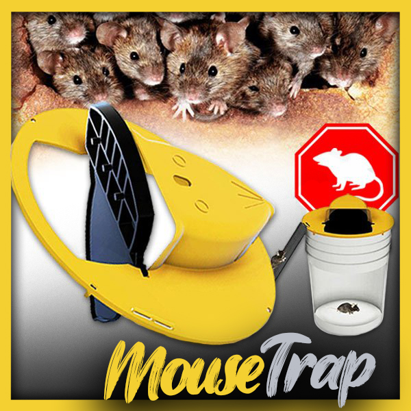 Mousetrap – Trappola per topi e ratti