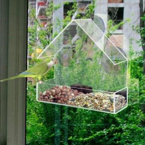 Birdbox – Transparent birdhouse 03
