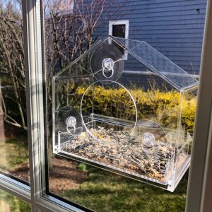 Birdbox – Transparent birdhouse 03