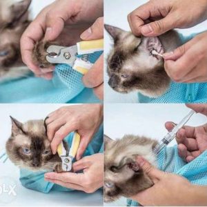 Cat grooming bag – 03