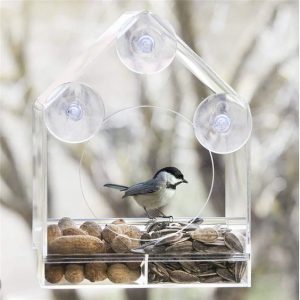 Birdbox – Transparent birdhouse 03