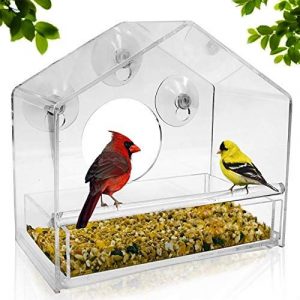 Birdbox – Transparent birdhouse 03