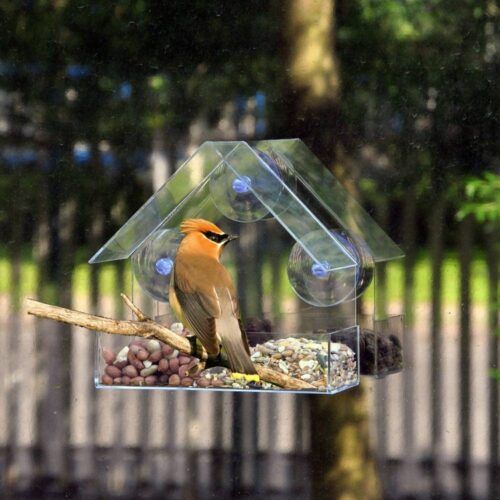 Birdbox – Transparent birdhouse slider