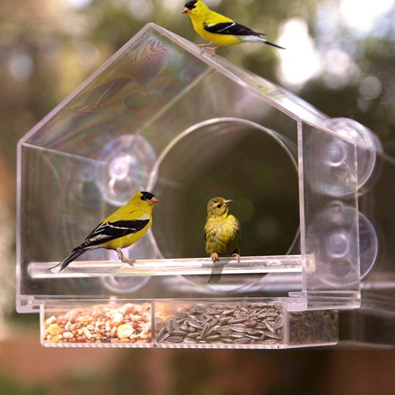 Birdbox – Transparent birdhouse slider