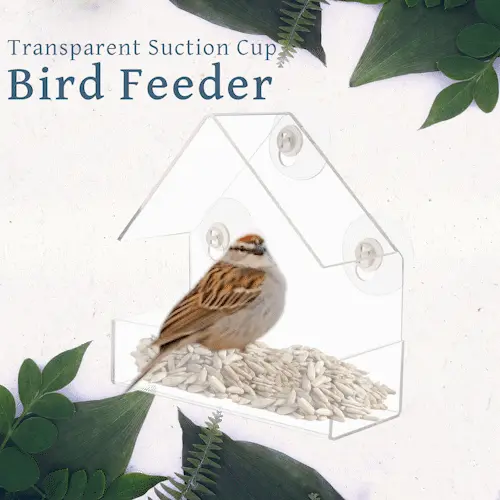 Birdbox – Transparent birdhouse 02